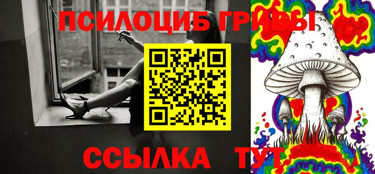 Псилоцибиновые грибы мицелий  Вход с VPN  Аргун 