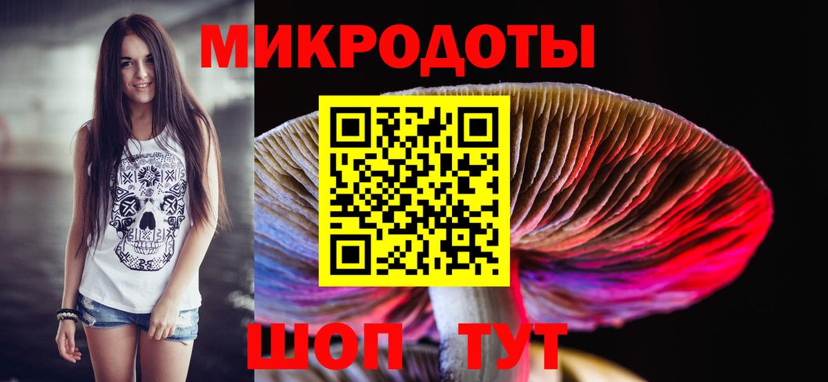 Галлюциногенные грибы Cubensis Аргун